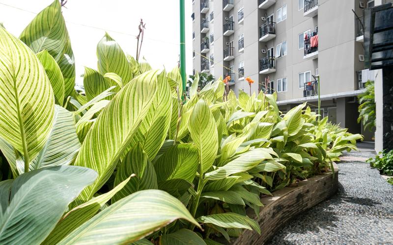 Sewa Harian, Bulanan, Tahunan Apartemen Puri Park View