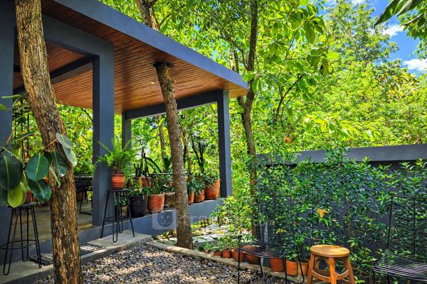 Sewa Harian, Bulanan, Tahunan Guru Giri Forest Cabin Villa