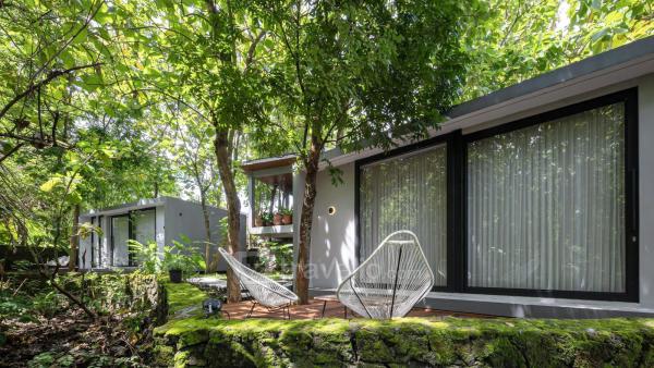 Sewa Harian, Bulanan, Tahunan Guru Giri Forest Cabin Villa