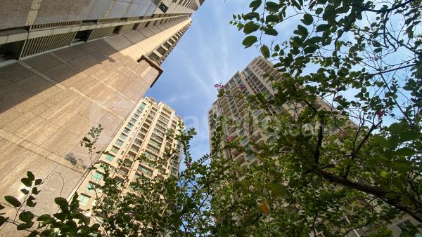 Sewa Harian, Bulanan, Tahunan Apartemen Senayan Residence