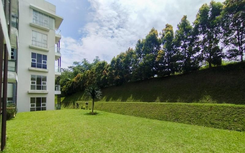 Sewa Harian, Bulanan, Tahunan Apartemen Pine Tree Resort Condominium