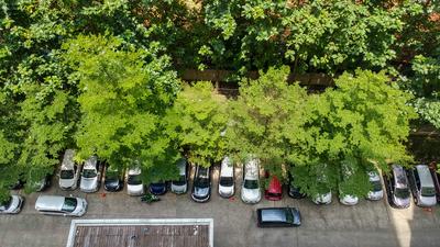 Apartemen Kebagusan City - Good Studio 23 Kebagusan City Apartment By Travelio