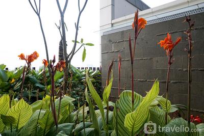 Apartemen Vittoria Residence - Luxurious and Elegant 3BR Apartment Vittoria Residence By Travelio