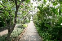 Apartemen Thamrin Residence - Spacious and Good 3BR at Thamrin Residence Apartment By Travelio