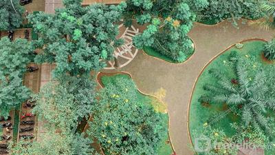 Apartemen Green Palace Kalibata - Comfy and Strategic Studio Green Palace Kalibata Apartment By Travelio