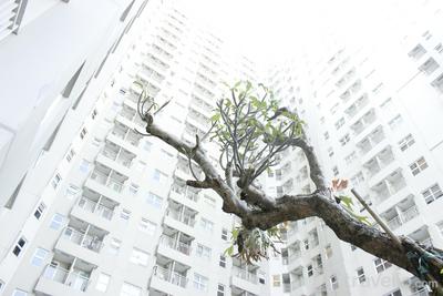 Apartemen Parahyangan Residence - Relaxing 1BR Apartment at Parahyangan Residence near Cihampelas By Travelio