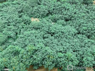 Apartemen Green Pramuka City - Nice and Spacious 2BR Apartment at Green Pramuka City By Travelio