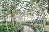 Apartemen Sedayu City Suites Kelapa Gading - Nice and Homey Studio at Sedayu City Suites Apartment By Travelio