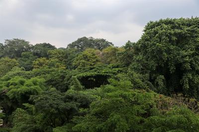 Apartemen Jarrdin Cihampelas - Spacious and Nice Studio at Jarrdin Cihampelas Apartment By Travelio