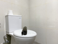 Apartemen LRT City Jatibening - Basic Style Studio at LRT City Jatibening Apartment By Travelio