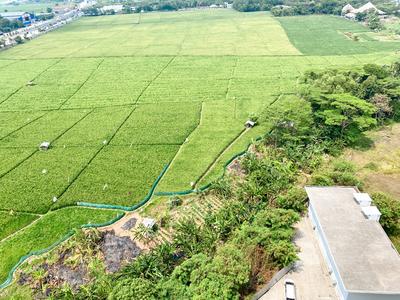 Apartemen Grand Sentraland Karawang - Best Deal and Homey 1BR Apartment Grand Sentraland Karawang By Travelio