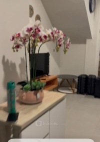 Guest Photo #2