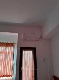Guest Photo #1