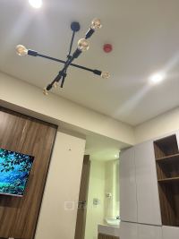 Guest Photo #1