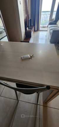 Guest Photo #1