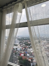 Guest Photo #2