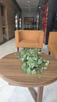 Guest Photo #1