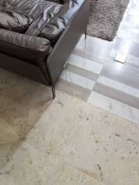 Guest Photo #1