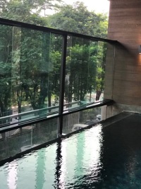 Guest Photo #1