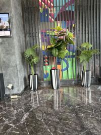 Guest Photo #1