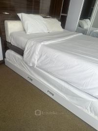 Guest Photo #2