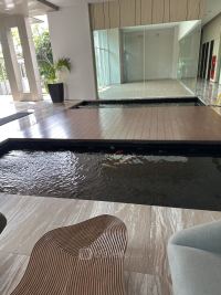 Guest Photo #1