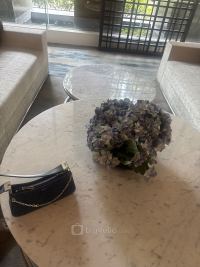 Guest Photo #2